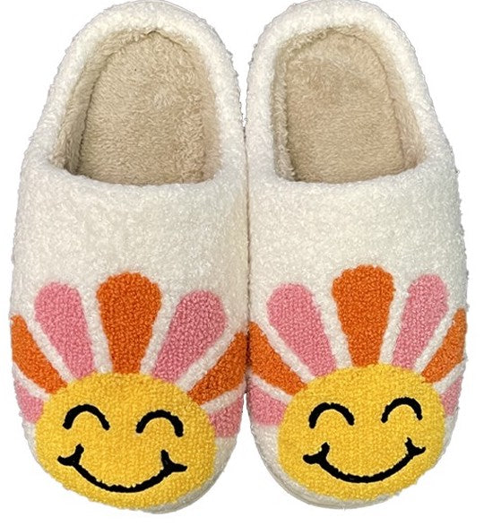 New Novelty Slippers