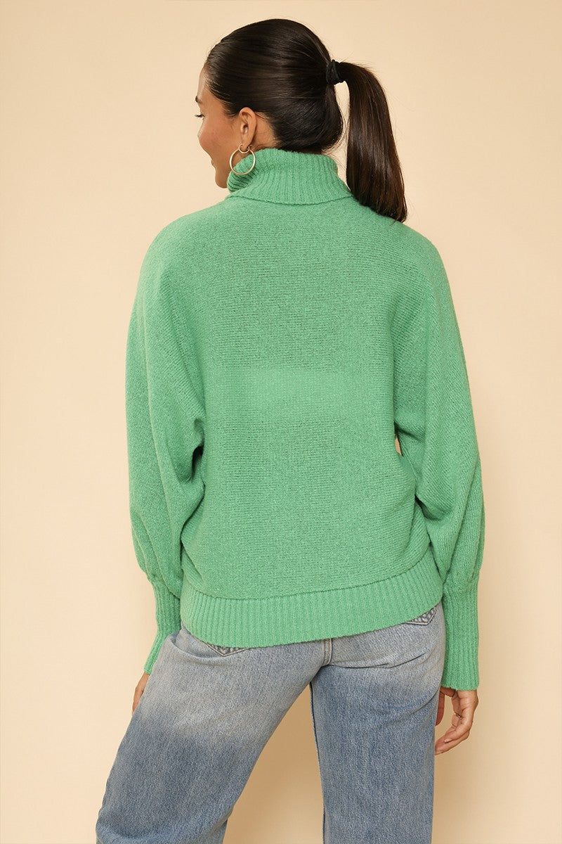 Turtle neck holiday sweater