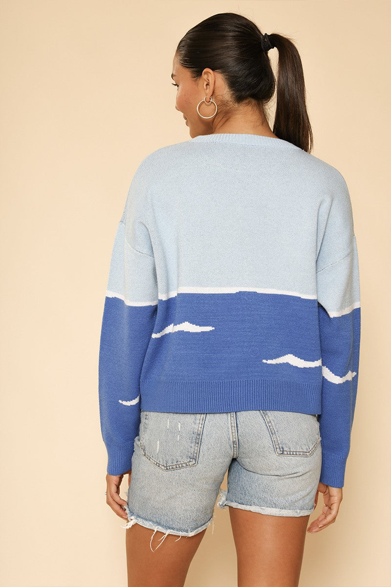 Orca knit sweater