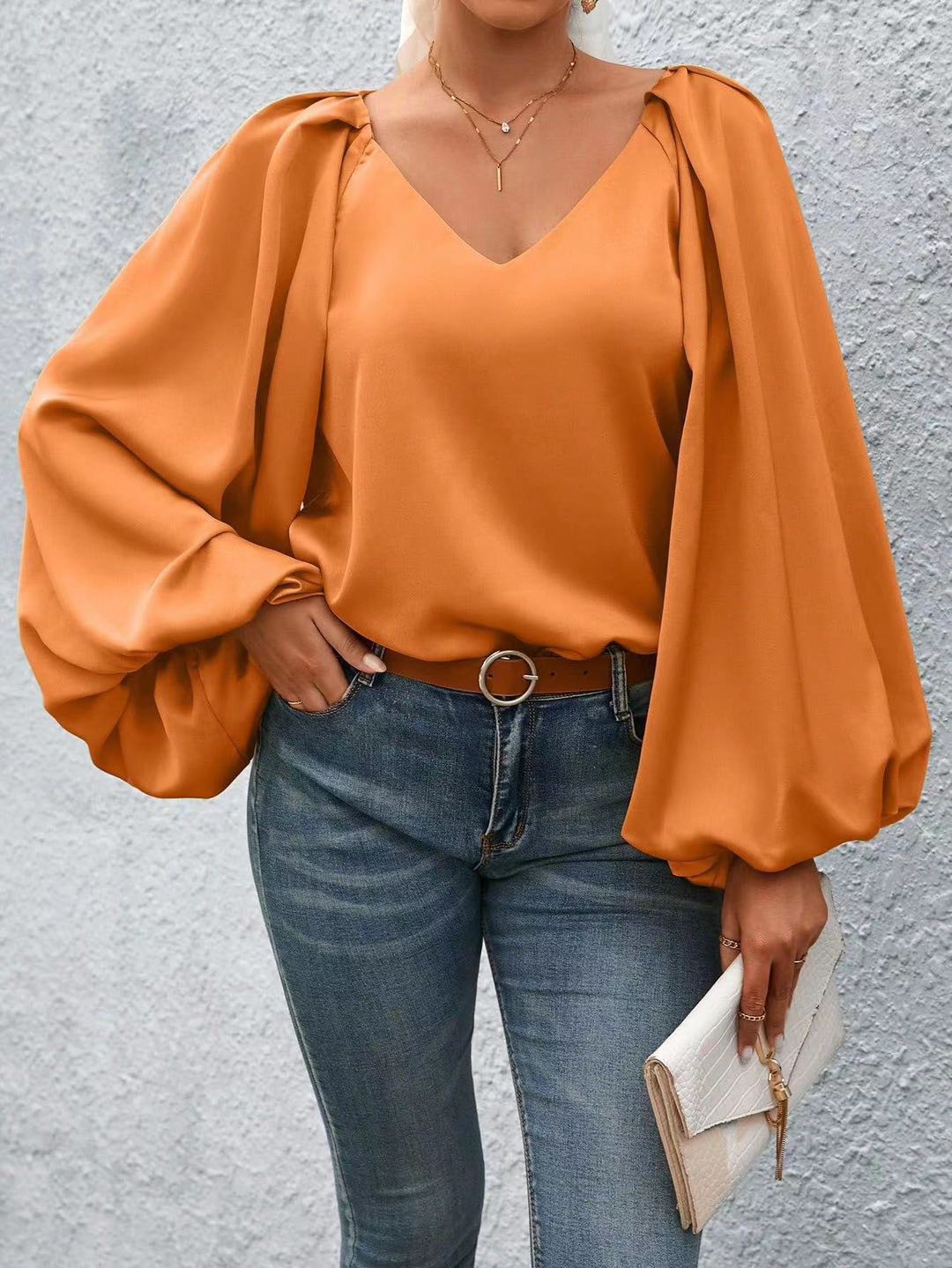 Lantern Sleeve Blouse