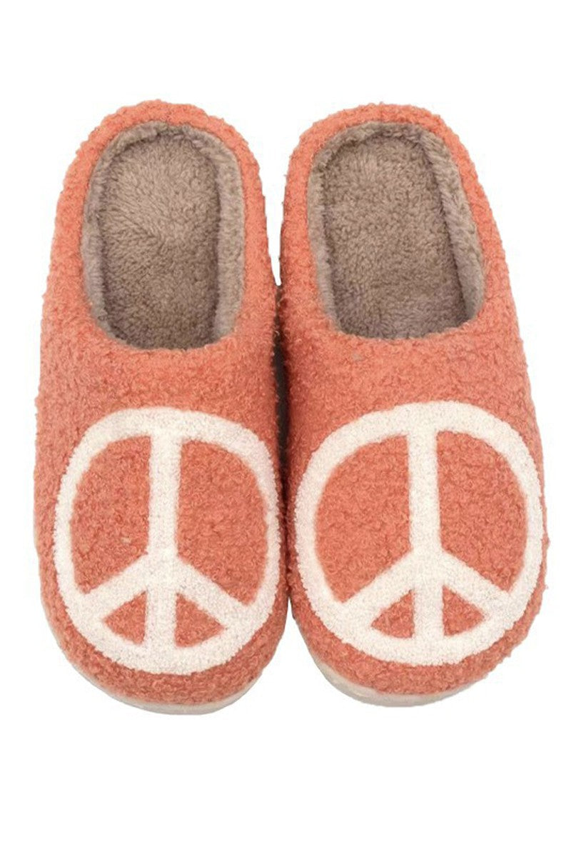 Novelty Slippers