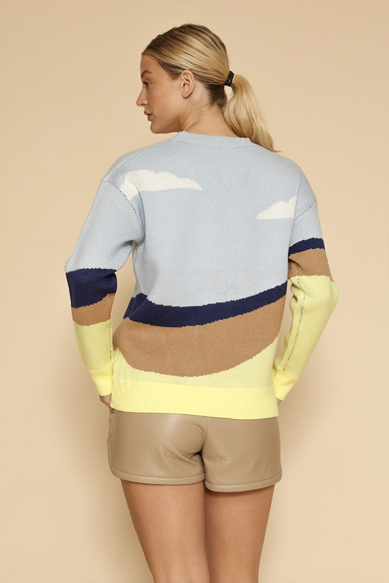 Roadrunner knit sweater