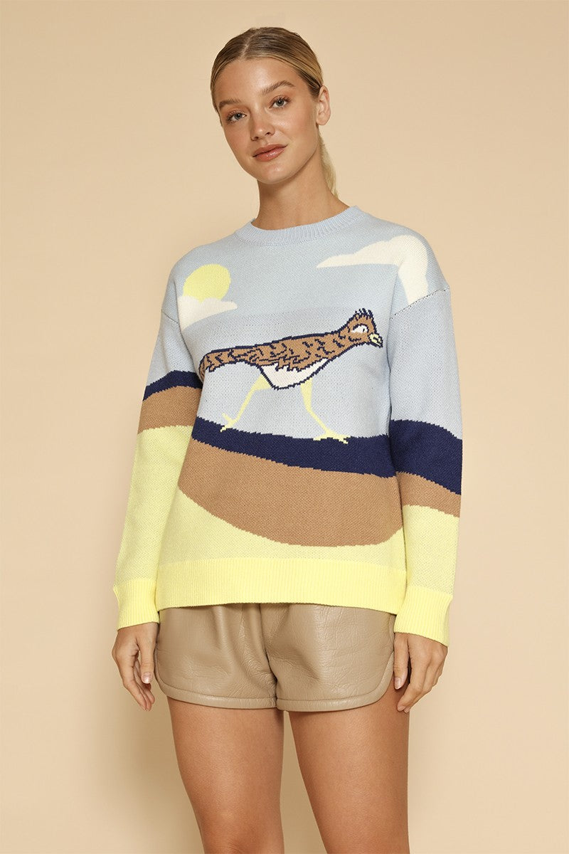 Roadrunner knit sweater