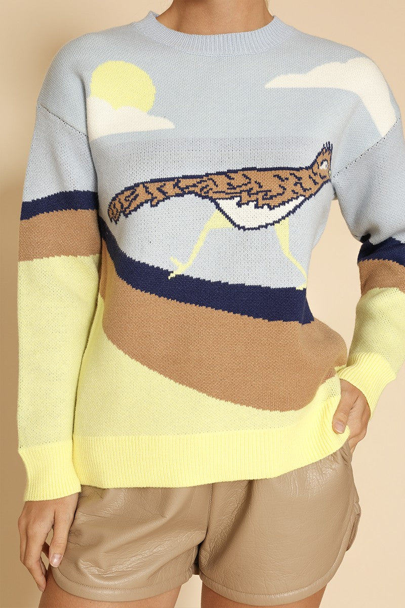 Roadrunner knit sweater