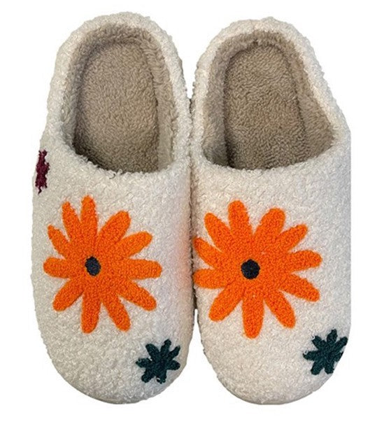 Novelty Slippers